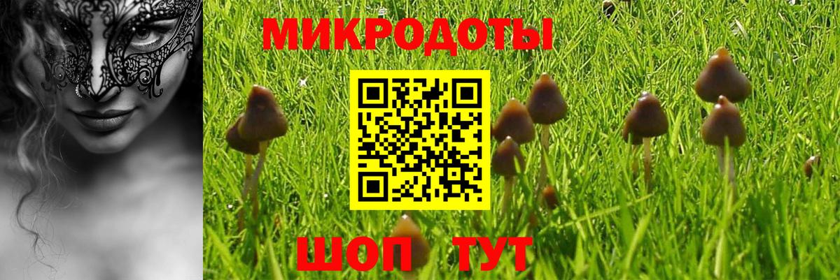 Краснодар  Псилоцибиновые грибы MAGIC MUSHROOMS  Вход с VPN  Галлюциногенные грибы Magic Shrooms 