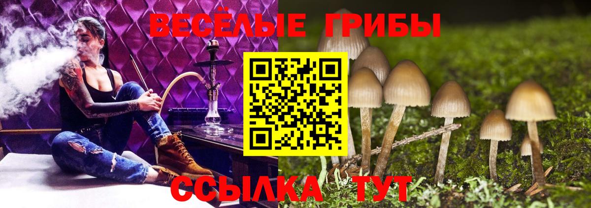 Псилоцибиновые грибы Psilocybine cubensis Краснодар